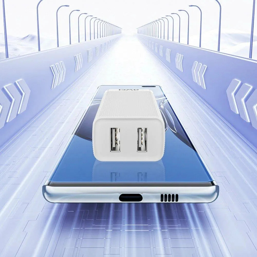 Зарядное устройство для смартфонов, планшетов, наушников AWEI C15 (2,1 А)